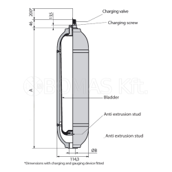 Bladder Accumulators