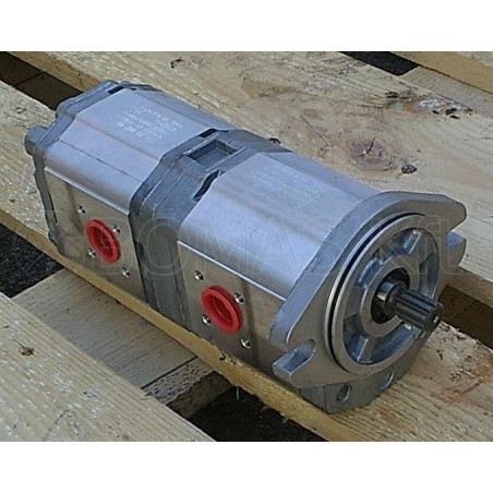 Double gear pump group 2