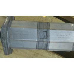 Double gear pump group 2