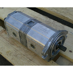 Double gear pump group 2