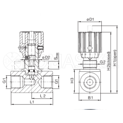 BRD bi-directional needle valves